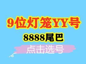 【9位8888-灯笼号】